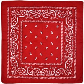 Foulard carré