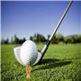 Kofull Tees de Golf en Plastic Intéressant Mélange de Couleurs Golf Tees Corps Nu Accessoires de Golf 6 Pack (Bronze)