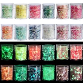 Wenrescry 12 Couleurs Paillettes Fluorescentes – Poudres Chunky et Fines – Visage