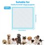 60 × 60cm Tapis Absorbant Chien