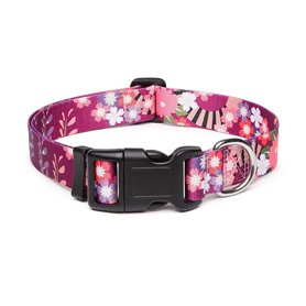1 Pièces Collier Chien Petite Moyenne Taille