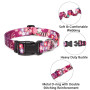 Collier Chien Chiens Moyen