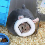 2 Pièces Lit de Cochon D'Inde,Lit Couchage pour Petits Animaux,Nid de Hamster,Lit en Peluche Cochon D'Inde,Nid de rat de compagn
