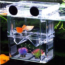 Boîte d'Élevage en Acrylique Double Couche pour Aquarium - Isolation