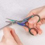 Ciseaux Vintage Pointus en Acier Inoxydable pour la Broderie
