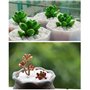 Mini Pierre Blanches 6-9mm Pierres Décoratives Petit Gravier Blanc Galets Blancs Naturels pour Remplissage de Vase,Pots de Fleur
