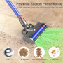 tête de Brosse remplaçable avec Accesso