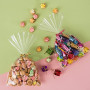 HO2NLE 200pcs Sachet Bonbons Anniversaire 9X15cm Sachet Transparants pour Biscuits Gâteaux Chocolats Bonbons Perles Bijoux d'emb
