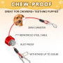 TenaLucy 2 Pièces Ceinture Chien Voiture,Ceinture Securite Chien Voiture Ceintures de Sécurité Corde Laisse de Câble de Chaîne C