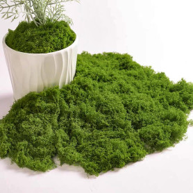 50g Mousse artificielle pour décorer