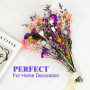 KAOHONG Bouquet de Fleurs Séchées Naturelles Violettes Vraies Naturel Fleurs Décoration pour Mariage, décoration Maison fête, Va