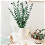 12 Pièces 45cm Eucalyptus Seches Naturel d'Eucalyptus Fleurs Séchées pour Mariage Arrangement Floral Home Deco