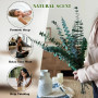 12 Pièces 45cm Eucalyptus Seches Naturel d'Eucalyptus Fleurs Séchées pour Mariage Arrangement Floral Home Deco
