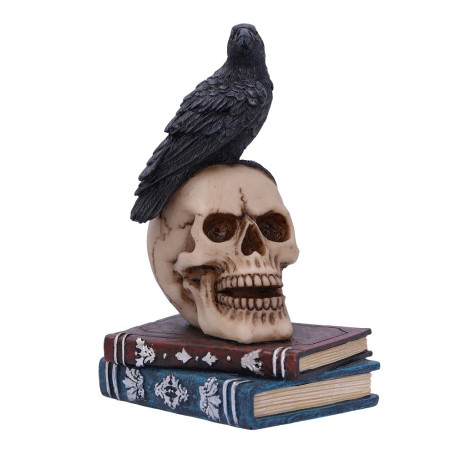 Nemesis Now Raven's Spell 10