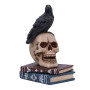 Nemesis Now Raven's Spell 10
