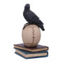 Nemesis Now Raven's Spell 10,3 cm Noir