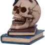 Nemesis Now Raven's Spell 10,3 cm Noir