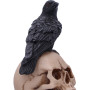 Nemesis Now Raven's Spell 10,3 cm Noir
