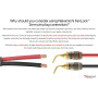 Nakamichi FanLock fiche banane à broche de 2mm plaquée or 24K 10 AWG - 18 AWG Calibre 4 mm pour haut-parleurs Amplificateur Hi-F