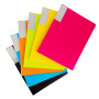 Amazon Basics Lot de 6 protège-documents A4, 30 pochettes, Multicolore
