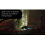 Stray XBox 2 Smart Delivery [Standard.]