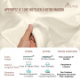 Pizuna Nouvel Ivoire 100% Coton Parure de Lit 140x200 2 Personne avec Traversin, Satin de Coton Mercerisé 400 Fils 1 Drap Housse