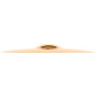 Meinl Cymbals Classics Custom Brilliant Cymbale Crash Medium 17 pouces (43,18cm) pour Batterie – B12 Bronze, Finition Brillante,