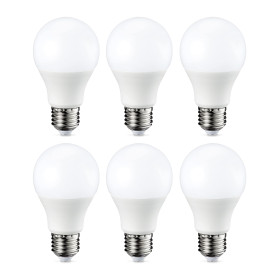 Amazon Basics Ampoule LED E27 A60 avec culot à vis