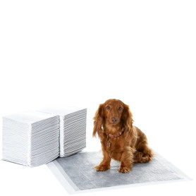 Amazon Basics Lot de 80 Protections pour déjections Canines
