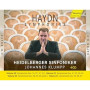 Symphonies Vol 28 31