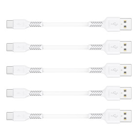 10cm Câble USB C Court