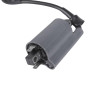 Twowinds - Bobine d'Allumage Moto Compatible avec Yamaha XV 250 Route 66 XV 250 V Star XV 250 Virago XV 750 XV 1000 XV 535 XV 11