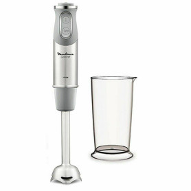 Mixeur plongeant Moulinex DD65AD10
