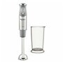 Mixeur plongeant Moulinex DD65AD10