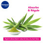 Steripan - Spray Anti-Transpirant Pieds - Absorbe et Régule - Format Compressé - Neutralise les Mauvaises Odeurs - Pour Pieds Fr