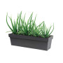 Gris Anthracite