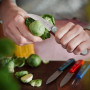 Opinel - Coffret de 4 Couteaux de Cuisine Les Essentiels Primo - N°112 Office, N°113 Cranté, N°114 Légumes, N°115 Éplucheur - Ma
