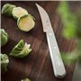 Opinel - Coffret de 4 Couteaux de Cuisine Les Essentiels Primo - N°112 Office, N°113 Cranté, N°114 Légumes, N°115 Éplucheur - Ma