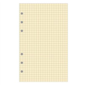 EXACOMPTA Recharge accessoire Exatime 17 bloc quadrillé chamois 40 feuillets 172x105 mm
