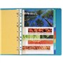 Exacompta - Réf. 2412E - Carton de 25 intercalaires en véritable carte lustrée souple 225g/m2 FSC® avec 12 onglets neutres - For