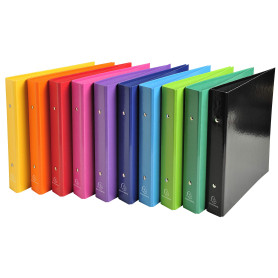 Exacompta - Réf. 529E - Carton de 10 classeurs rigides Iderama - 2 anneaux ronds 25mm - Dos 34mm - Dimensions extérieures : 23x2