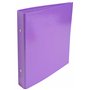 Exacompta - Réf. 529E - Carton de 10 classeurs rigides Iderama - 2 anneaux ronds 25mm - Dos 34mm - Dimensions extérieures : 23x2