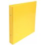 Exacompta - Réf. 529E - Carton de 10 classeurs rigides Iderama - 2 anneaux ronds 25mm - Dos 34mm - Dimensions extérieures : 23x2
