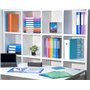 Exacompta - Réf. 88324E - Carton de 12 Protège-documents OPAK - 30 pochettes cristal lisse - 60 vues - pour format A4 - dimensio