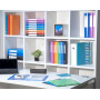 Exacompta - Réf. 88424E - Carton de 10 Protège-documents OPAK - 40 pochettes cristal lisse - 80 vues - pour format A4 - dimensio