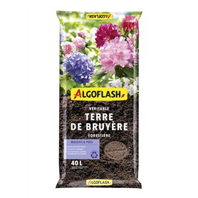 Algoflash Terre de Bruyère Forestière