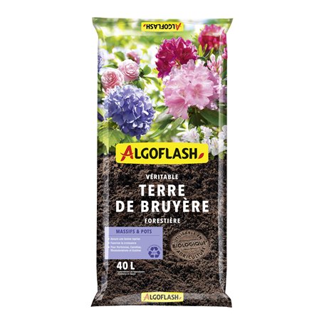 Algoflash Terre de Bruyère Forestière