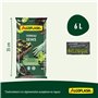 Bouturage et Repiquage