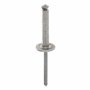 Rivets rivets epanouis Restagraf Ref: 4707