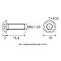 Restagraf - Vis Cylindrique Bombée Large Torx Spéciales Serrure de Porte - Fixation Carrosserie et Pièces Mécaniques - M6-1.00 x
